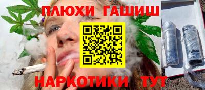 индика Сланцы