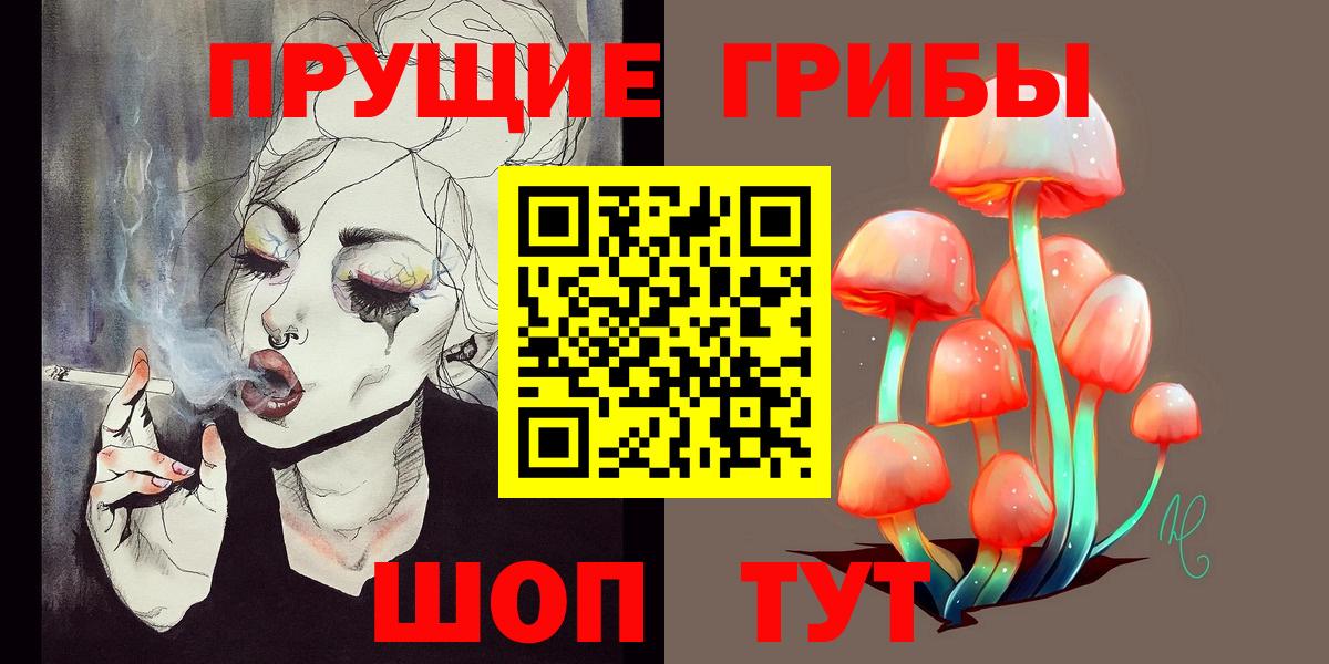 Подольск  Псилоцибиновые грибы GOLDEN TEACHER  Вход с VPN 