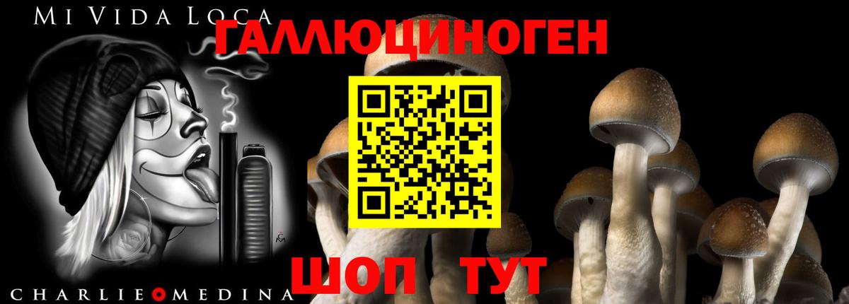 Галлюциногенные грибы Magic Shrooms Подольск